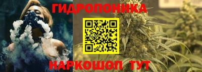 спиды Лесосибирск