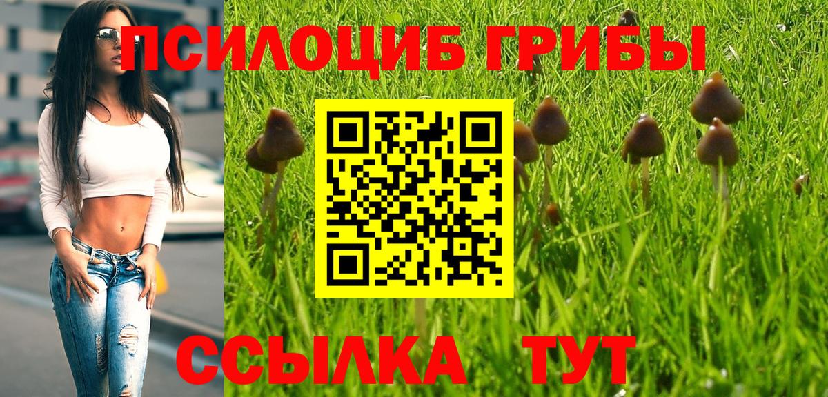 Псилоцибиновые грибы Psilocybe  Вход с VPN  Гуково 