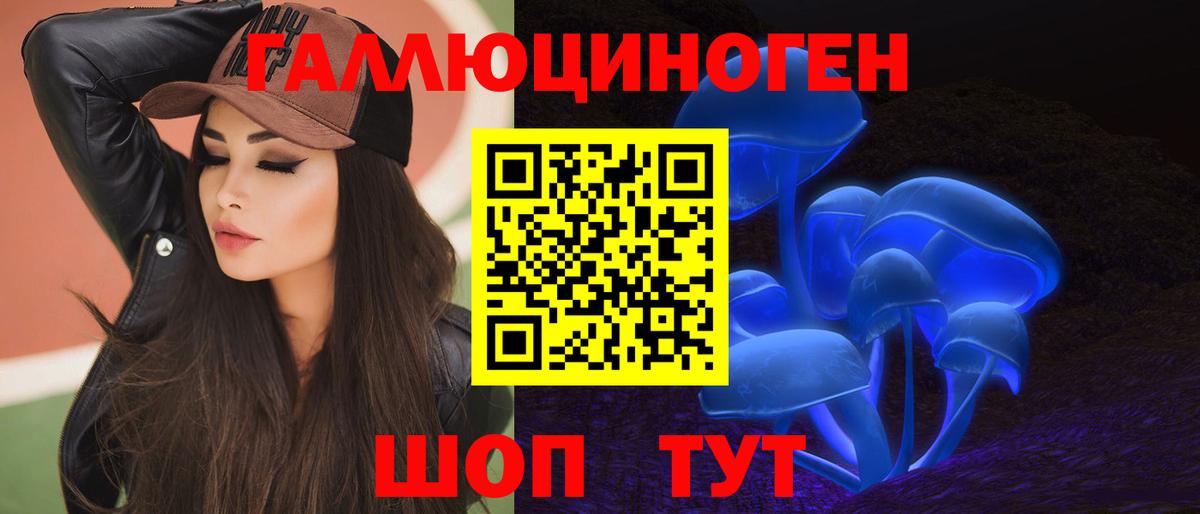 Псилоцибиновые грибы Psilocybe Гуково